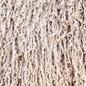 casalis sustainable materials-wool