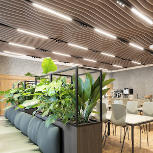 Impact Acoustic Edge Bespoke Baffles