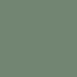 Mogu Mycelium Color: Fern Mogu Mycelium Color: Fern