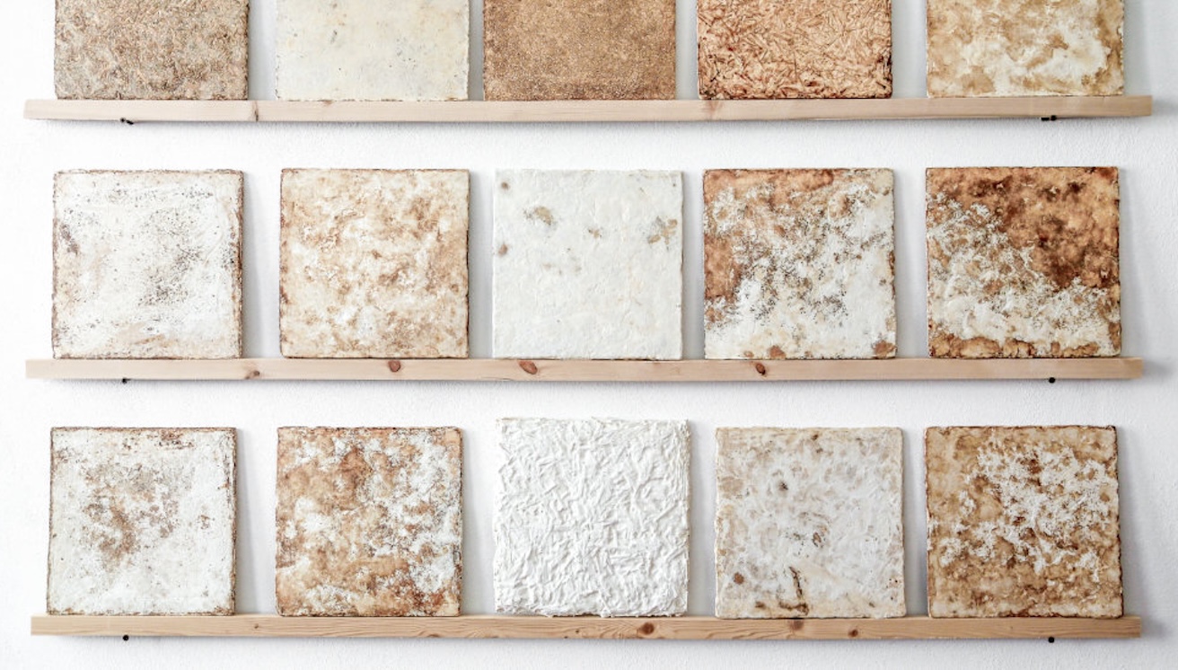 mogu mycelium acoustic design mogu mycelium acoustic design
